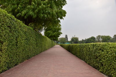 Sarnath excavations, sarnath, uttar pradesh, india