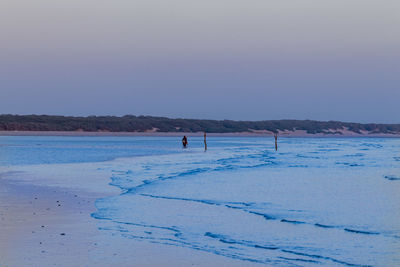 People on snow covered land against clear sky