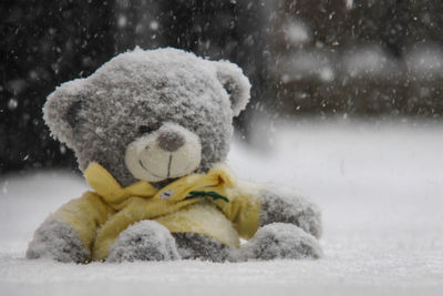 Close-up of teddy bear on snow covered field