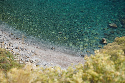 High angle view of beach