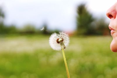 Close-up of woman blowing dandelion flower against sky