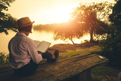 Rear view of man sitting on book against trees at sunset