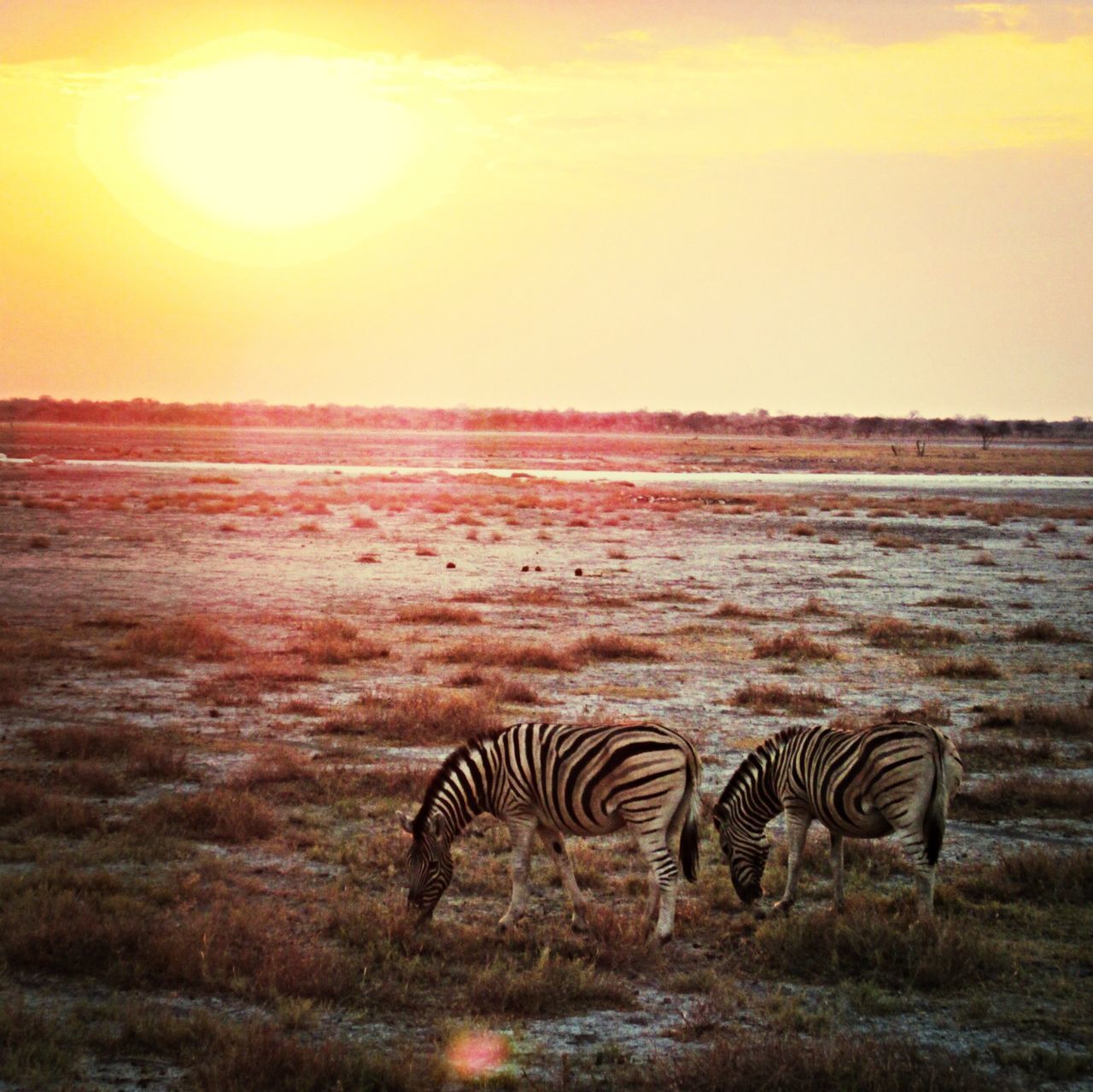 Namibia