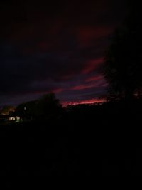 Silhouette trees against sky at night