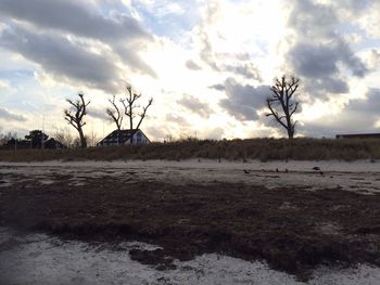 Bare trees on field against cloudy sky