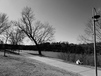 Scenic view of trees against sky