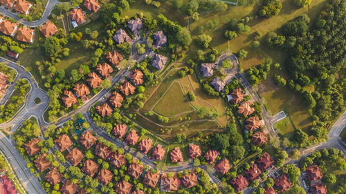 High angle view of agricultural field