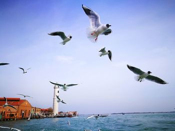 Seagulls flying over sea against sky