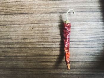 Directly above shot of red chili pepper on table