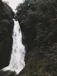 Close-up of waterfall in forest