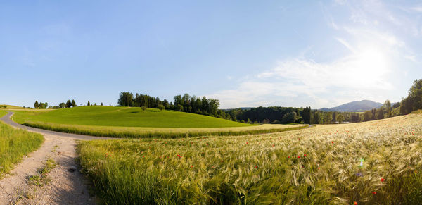 Scenic view of field against sky