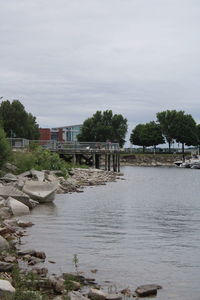 Scenic view of river by trees against sky