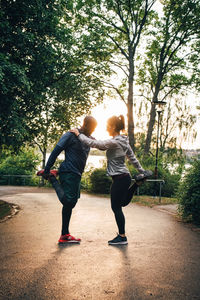 Rear view of man and woman walking on tree