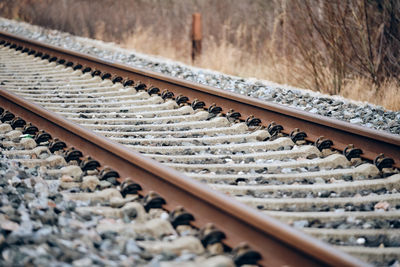 High angle view of railroad tracks