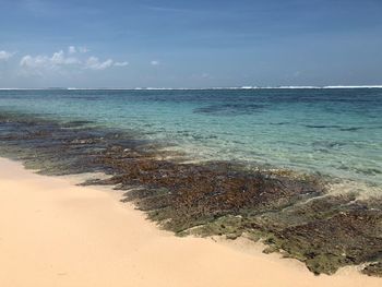 Scenic view of beach against sky