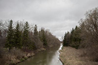 Scenic view of river amidst trees against sky