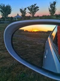 View of trees at sunset