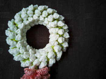 Directly above shot of flowering plant against black background