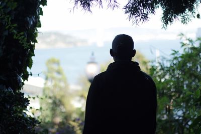 Rear view of silhouette man standing in front of trees