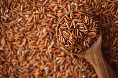 Close-up of roasted coffee beans