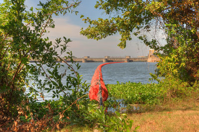 Scenic view of lake by trees against sky