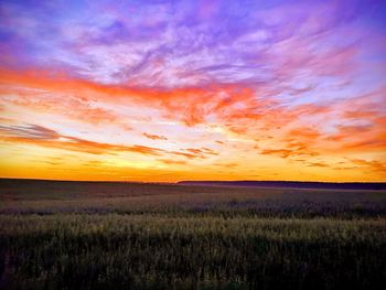Scenic view of field against sky during sunset