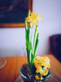 Close-up of vase on table