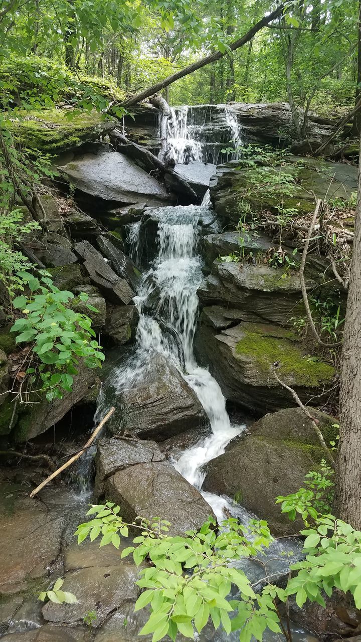 WATERFALL IN FOREST