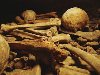 Close-up of human skull