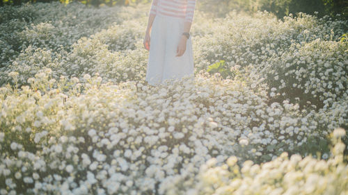 Low section of woman standing on ground