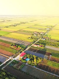 High angle view of agricultural field against sky