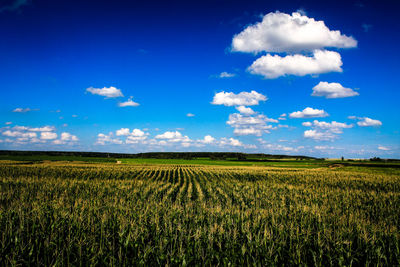 Scenic view of field against cloudy sky