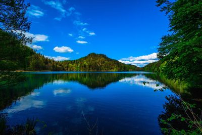 Scenic view of lake in forest against blue sky