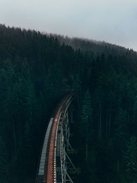 High angle view of railroad tracks amidst trees in forest