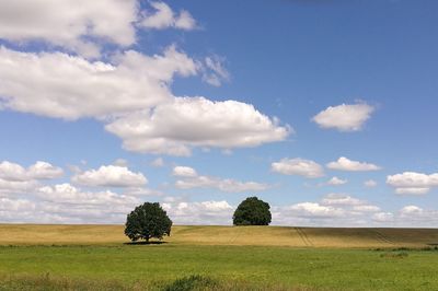 Scenic view of field against sky