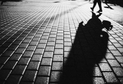 Shadow of people walking on footpath