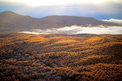 Scenic view of landscape against sky