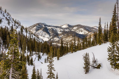 Scenic view of snowcapped mountains against sky during winter