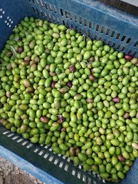 High angle view of fruits in basket