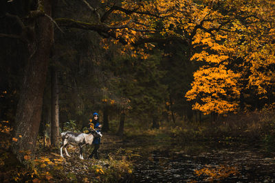 View of people riding horse in forest