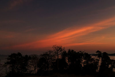 Silhouette trees against sky during sunset