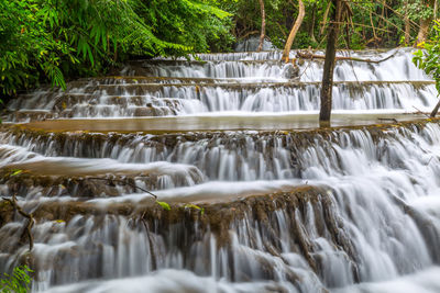 Scenic view of waterfall in forest