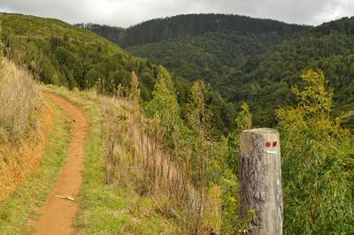 Scenic view of landscape