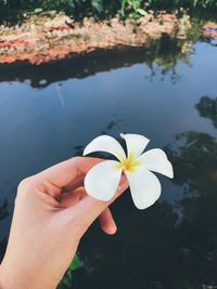 Close-up of hand holding white flower