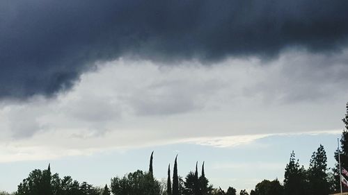 Low angle view of trees against cloudy sky