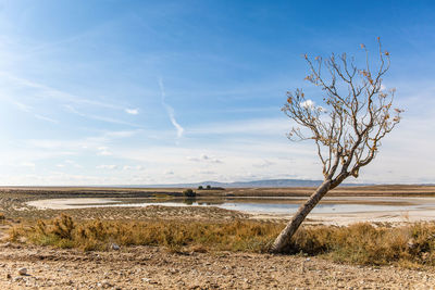 Scenic view of land against sky