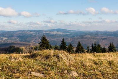 Scenic view of landscape against sky