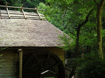 Low angle view of trees and house in forest