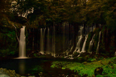 Scenic view of waterfall in forest