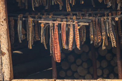 Low angle view of salmon fish drying in a smoker room